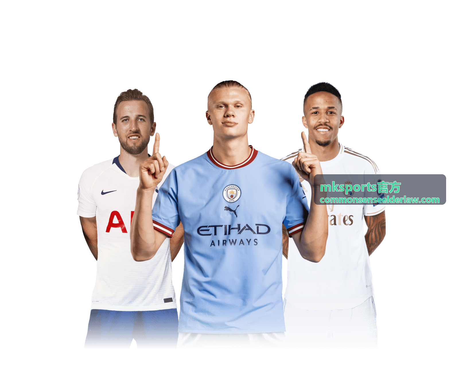 mksports官方公告检索重点条目配图
