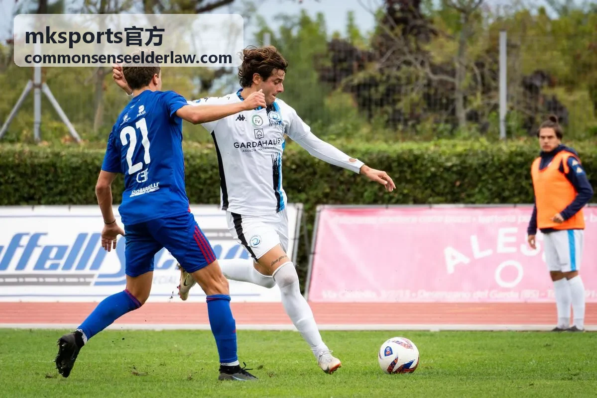 mksports官方数据服务专题封面